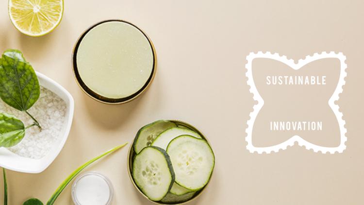Sustainable Innovation