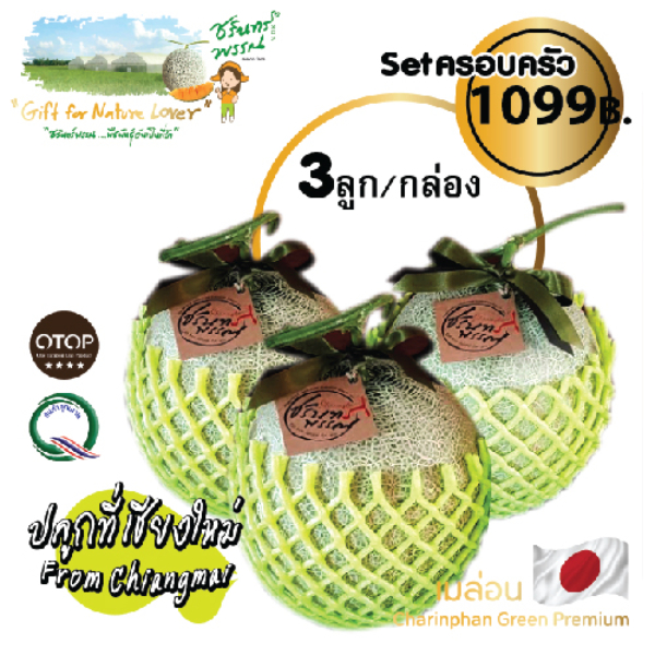 เมล่อนญี่ปุ่นพันธุ์ KIMOJI Melon เซตครอบครัว จำนวน 3 ลูก/กล่อง