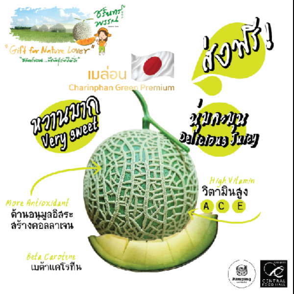 เมล่อนญี่ปุ่นพันธุ์ KIMOJI Melon เซตครอบครัว จำนวน 3 ลูก/กล่อง